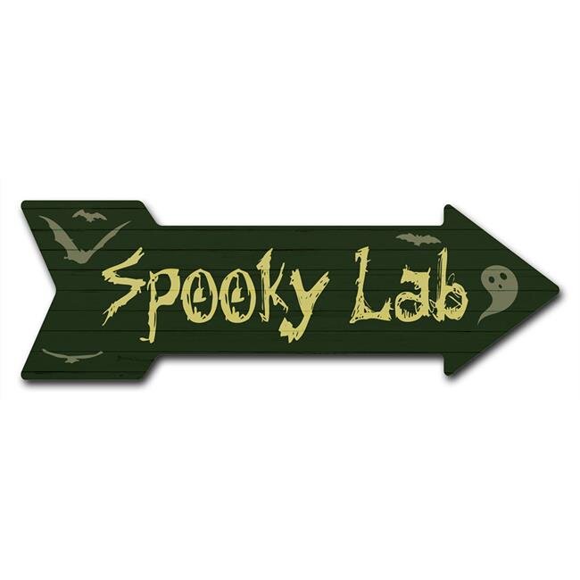 SignMission D-A-999597 6 x 18 in. Indoor & Outdoor Decor Direction Sticker Vinyl Wall Decals - Spooky Lab - 24 in.